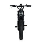 Electric Mountain Bike for Adults | 20 x 4.0 Fat Tires, 1000W Motor, 48V 20Ah Removable Battery, Max Speed 45MPH, Shi Mano 7-Speed for Off-Road Adventures