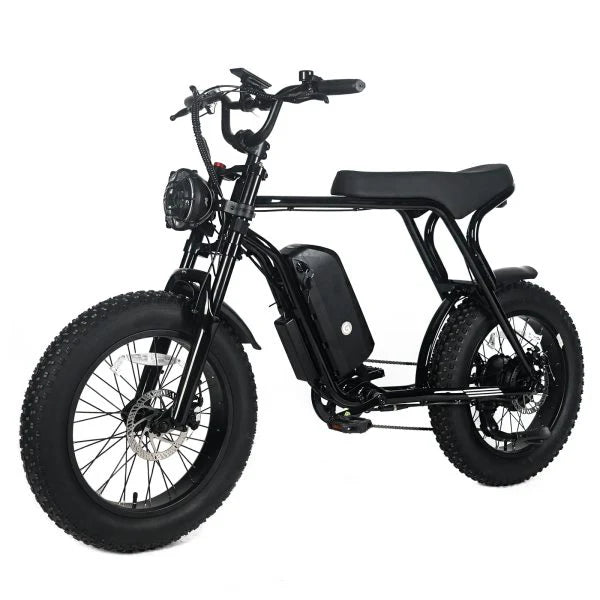 Electric Mountain Bike for Adults | 20 x 4.0 Fat Tires, 1000W Motor, 48V 20Ah Removable Battery, Max Speed 45MPH, Shi Mano 7-Speed for Off-Road Adventures